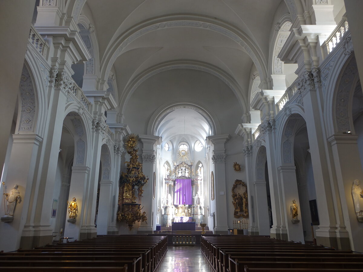 Wrzburg, barocker Innenraum der St. Peter und Paul Kirche (21.02.2021)