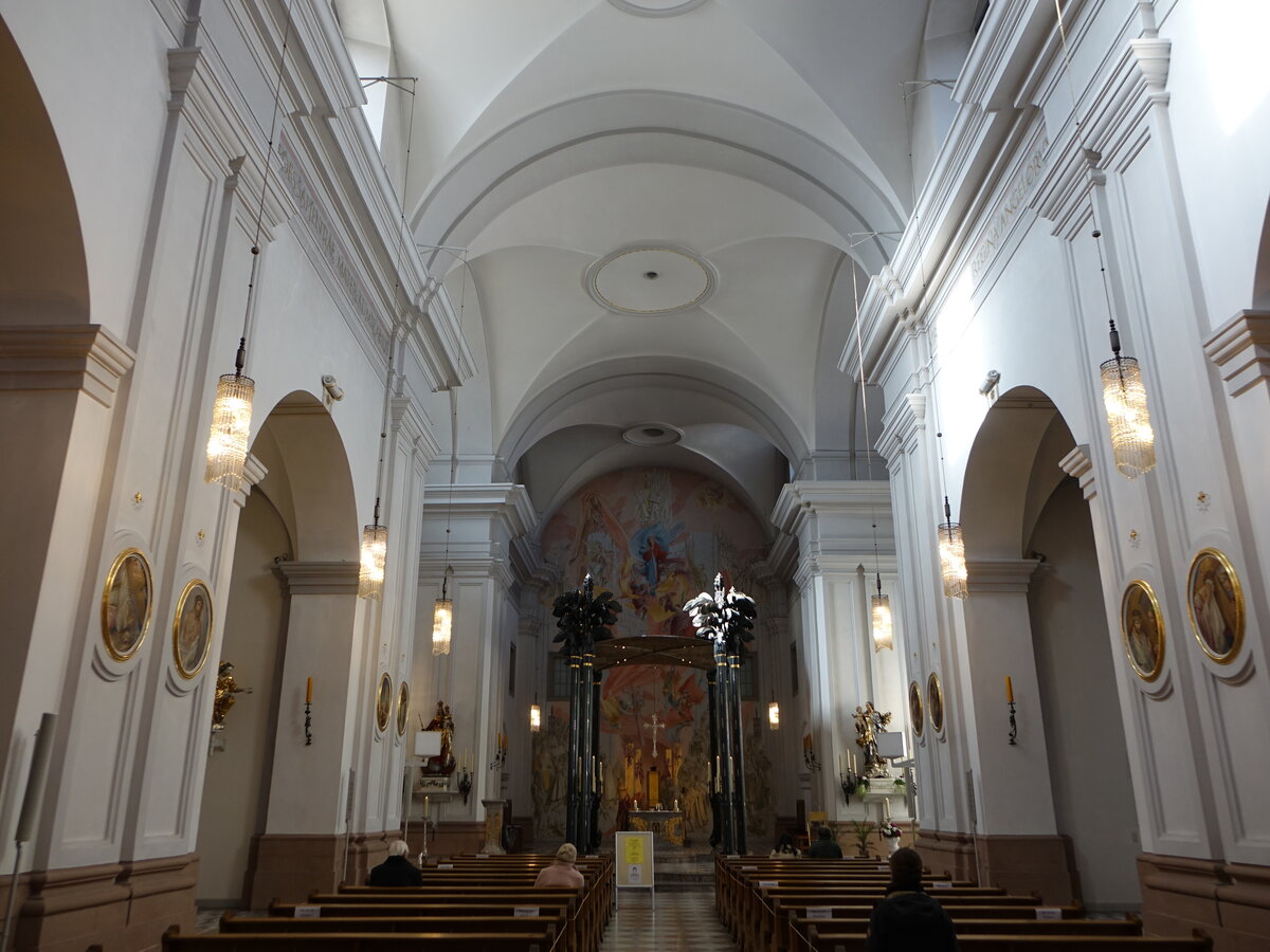 Wrzburg, Innenraum der Karmeliterkirche, erbaut von 1662 bis 1669 (21.02.2021)