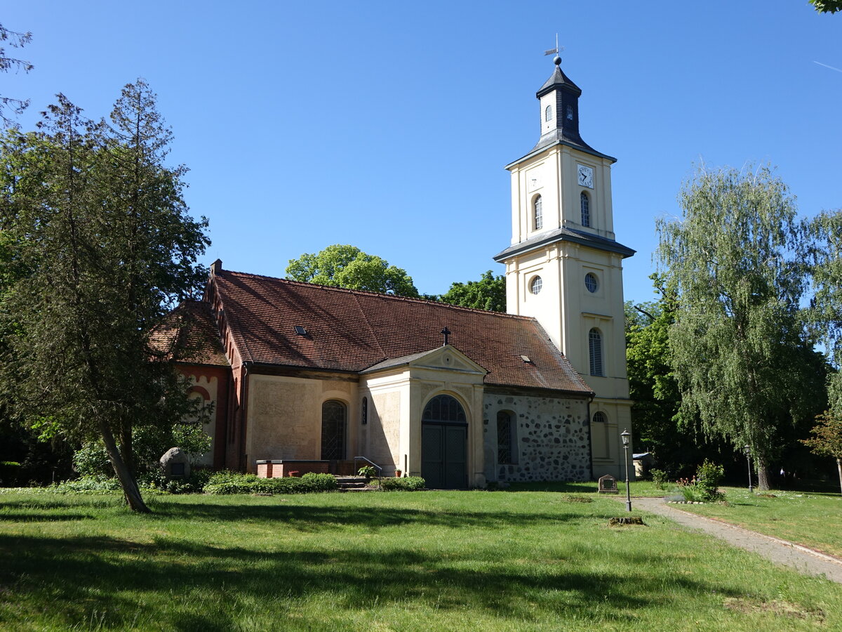 Wustrau, evangelische Kirche, sp�tgotischer Feldsteinbau aus dem 13. Jahrhundert, barockisiert im 18. Jahrhundert, Kirchturm erbaut 1781 (29.05.2026)