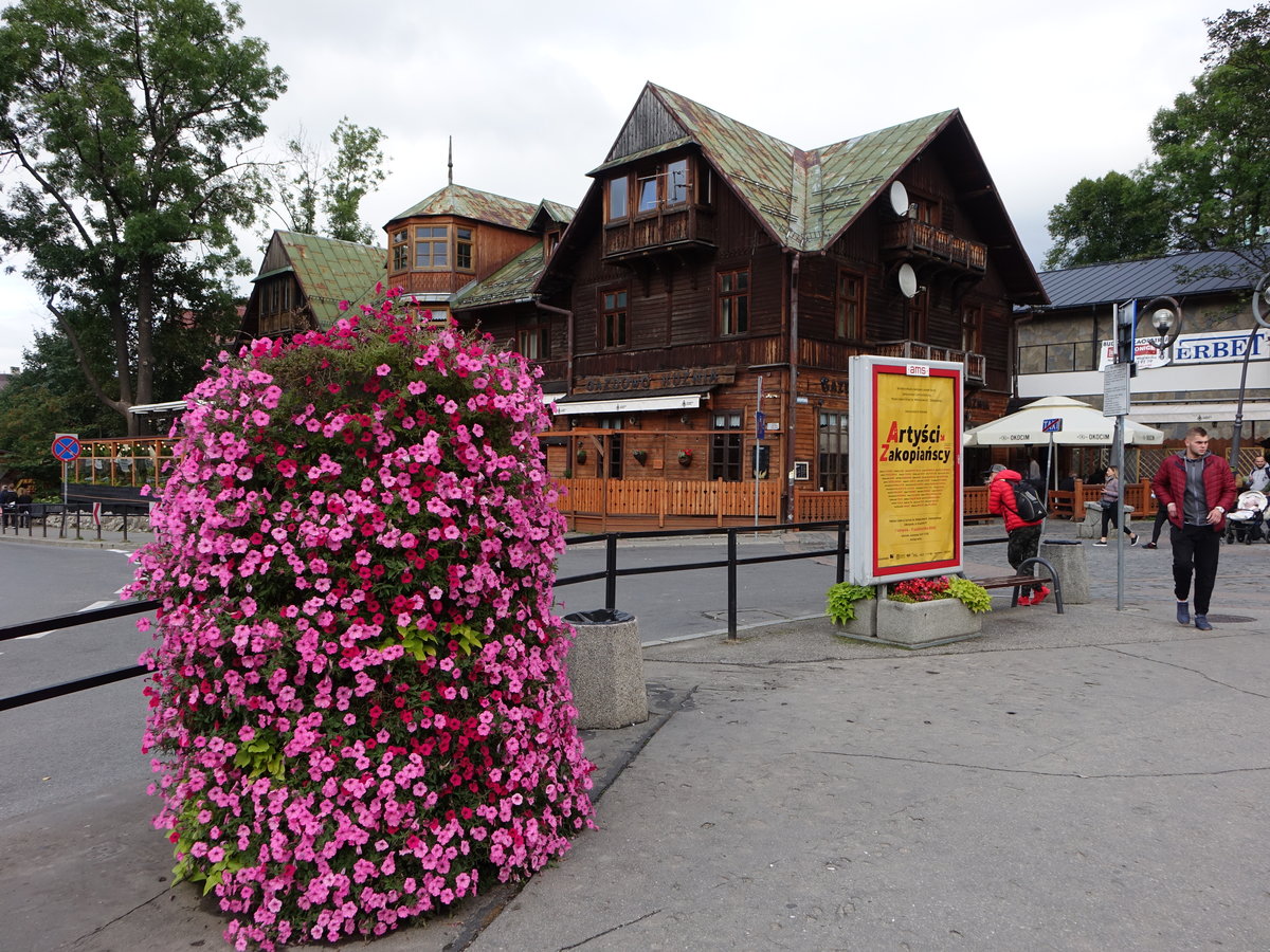 Zakopane, Blumenschmuck in der Krupowki Strae (02.09.2020)