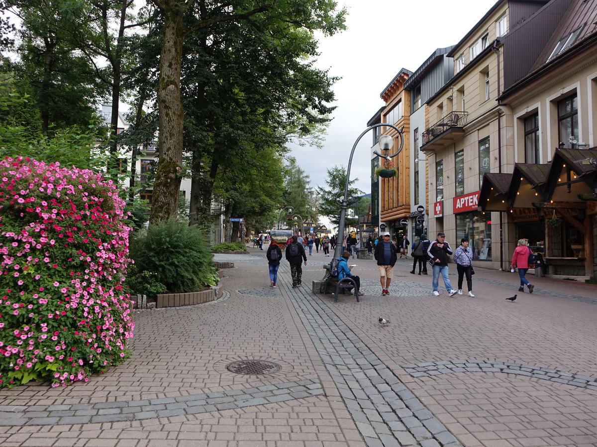 Zakopane, Huser an der Flanierstrae Krupowki (02.09.2020)