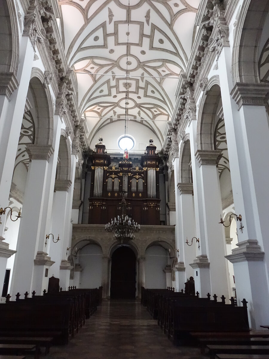 Zamosc, Orgelempore in der Kollegiatskirche St. Thomas (16.06.2021)