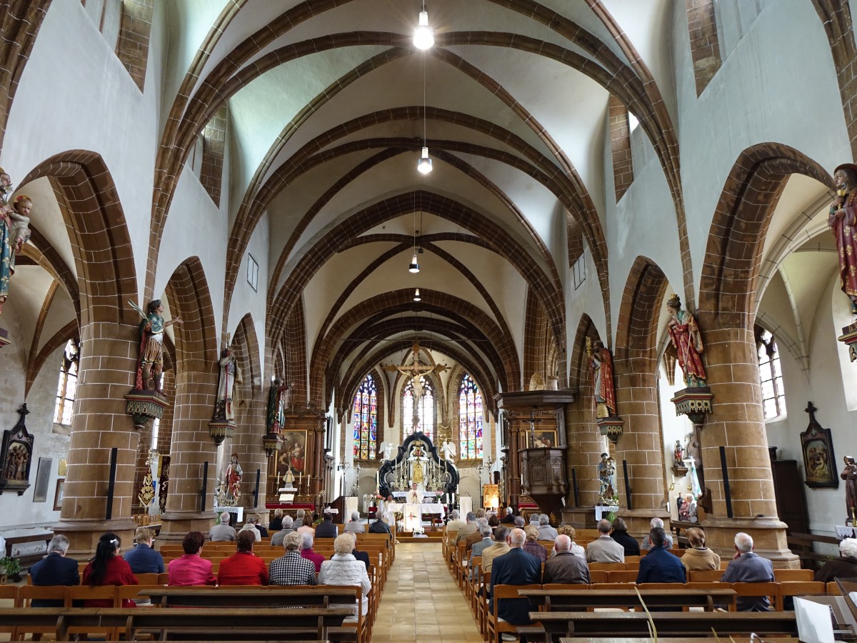 Zichen, Mittelschiff der gotischen St. Eustachius Kirche (26.04.2015)