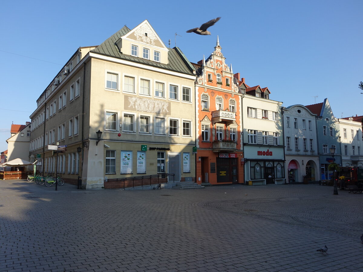 Zielona Gora / Grnberg, Huser am Stary Rynek Platz (31.07.2021)