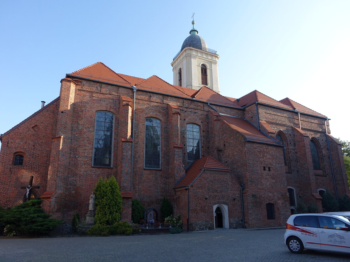 Zielona Gora / Grnberg, Pfarrkirche St. Hedwig, erbaut bis 1294 (31.07.2021)