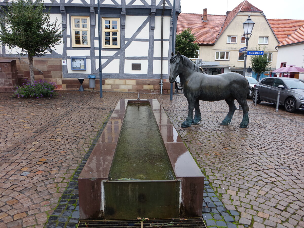 Zierenberg, Pferdebrunnen vom Atelier Bohrmann und Roth am Markt (05.10.2021)