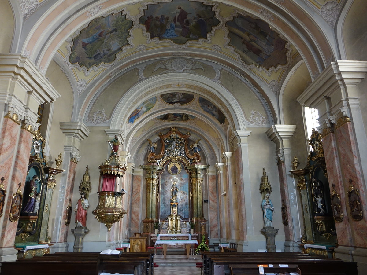 Zilina / Sillein, Innenraum der Jesuitenkirche St. Paul (30.08.2019)