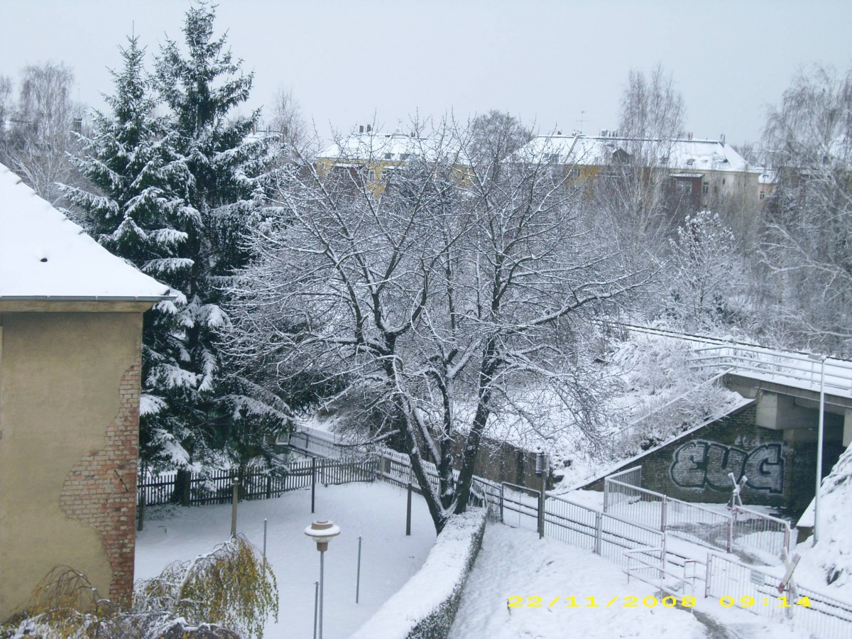 Zittau am 22.11.2008