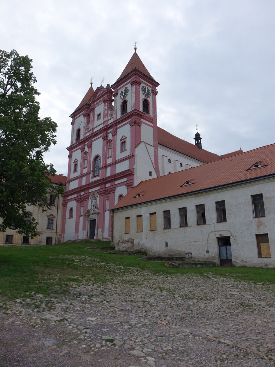 Znojmo, Klosterkirche St. Wenzel im Kloster Louka / Klosterbruck  (29.05.2019)