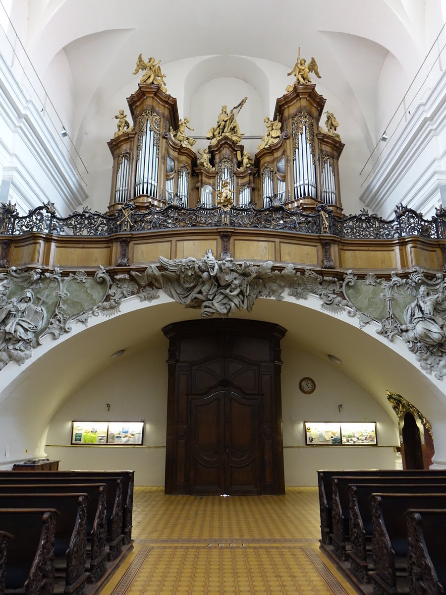 Znojmo, Orgelempore mit Casparid Orgel in der Hl. Kreuz Kirche (29.05.2019)