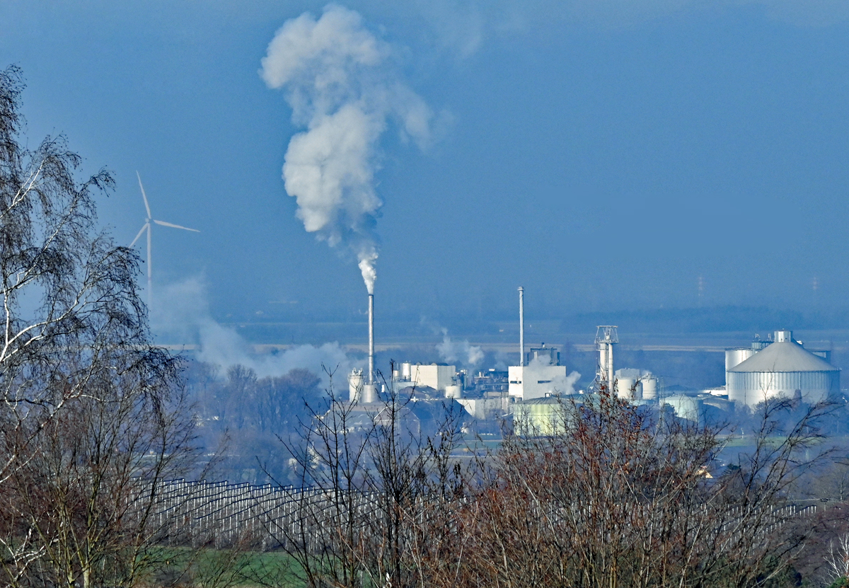 Zuckerfabrik durch die Bsche gesehen - 14.01.2022