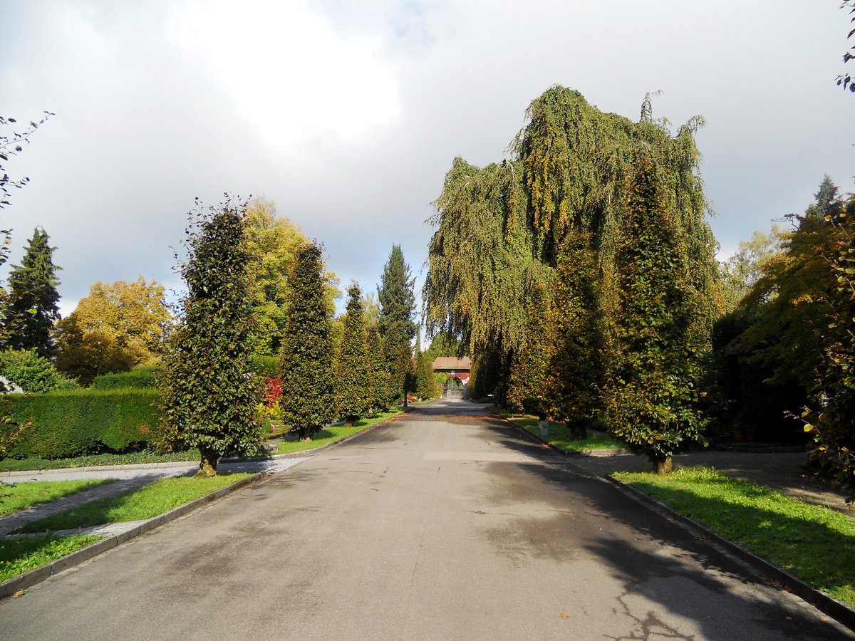 Zrich, Friedhof Enzenbhl - 06.10.2014