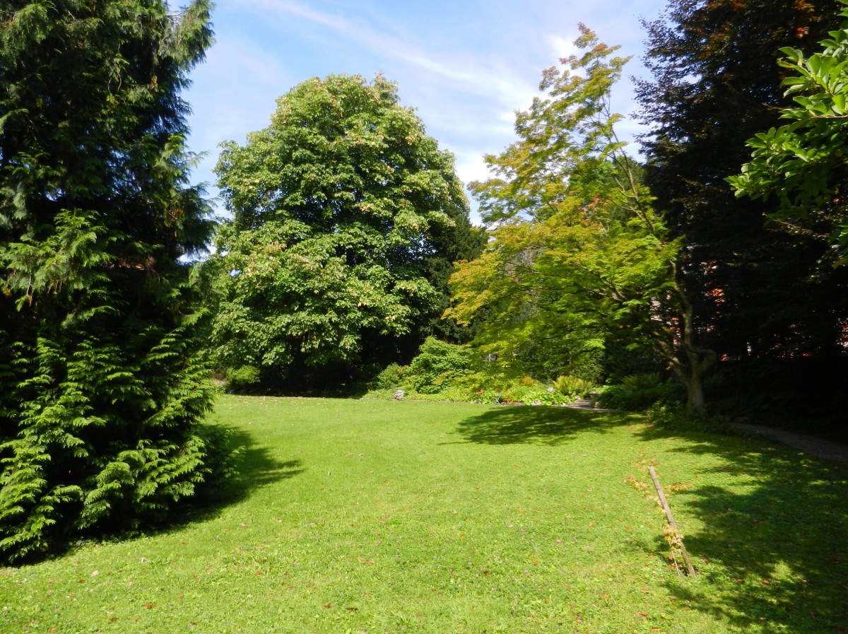 Zrich, Villa Bleuler. Die Parkanlage, die mit der Villa eine Einheit bildet, wurde von der Firma Frbel & Mertens im Sdteil als Landschaftsgarten, im Nordwesten mit Treppe, Pergola und Vorfahrt als Architekturgarten gestaltet. Unter Denkmalschutz seit 1990. Die Stadt Zrich erwarb die Liegenschaft 1983 von der Familie Abegg und ffnete die Parkanlage fr die Bevlkerung - 04.09.2014
