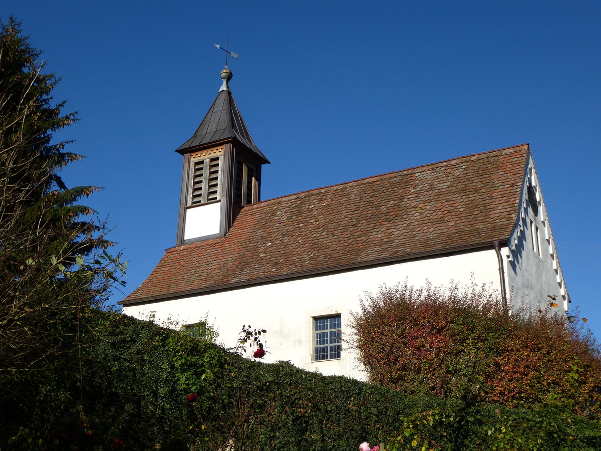 Zunzingen im Markgrflerland, die Kirche des kleinen Winzerdorfes, Nov.2015