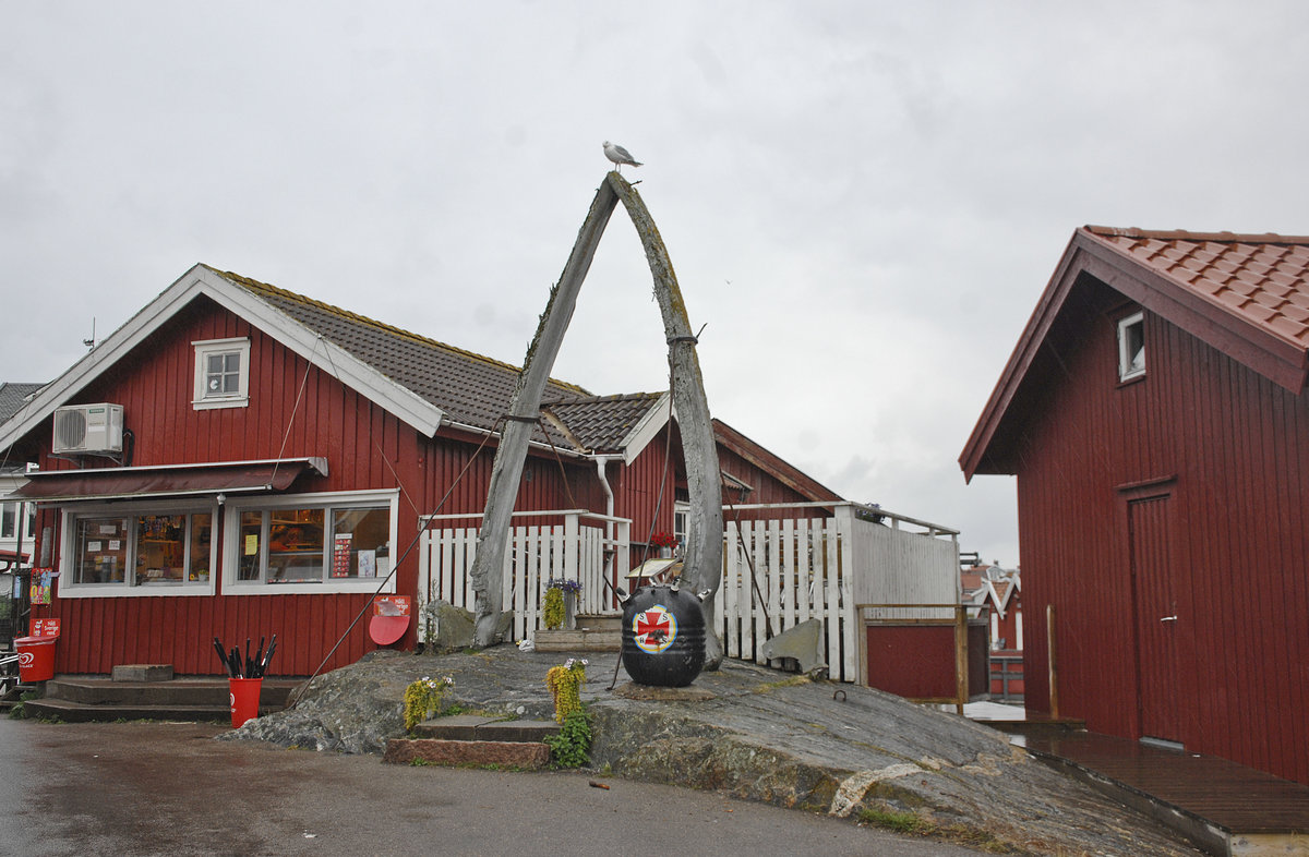 Zwei riesige Walkiefer auf Käringön. Die Insel liegt im Bohusläner Schärenhof zwischen Göteborg und der schwedish-norwegischen Grenze.
Aufnahme: 3. Juli 2017.