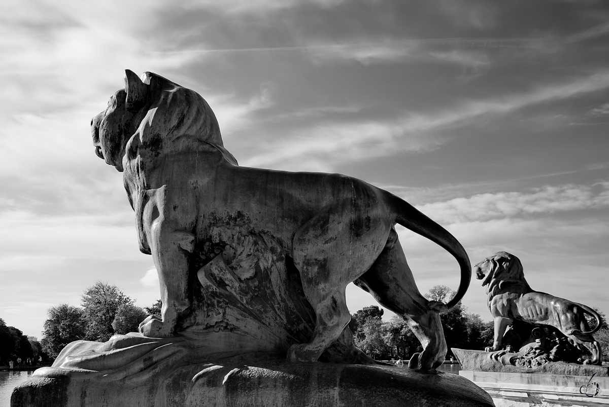 Zwei stolze Lwen, so gesehen Anfang November 2022 im Retiro-Park von Madrid.