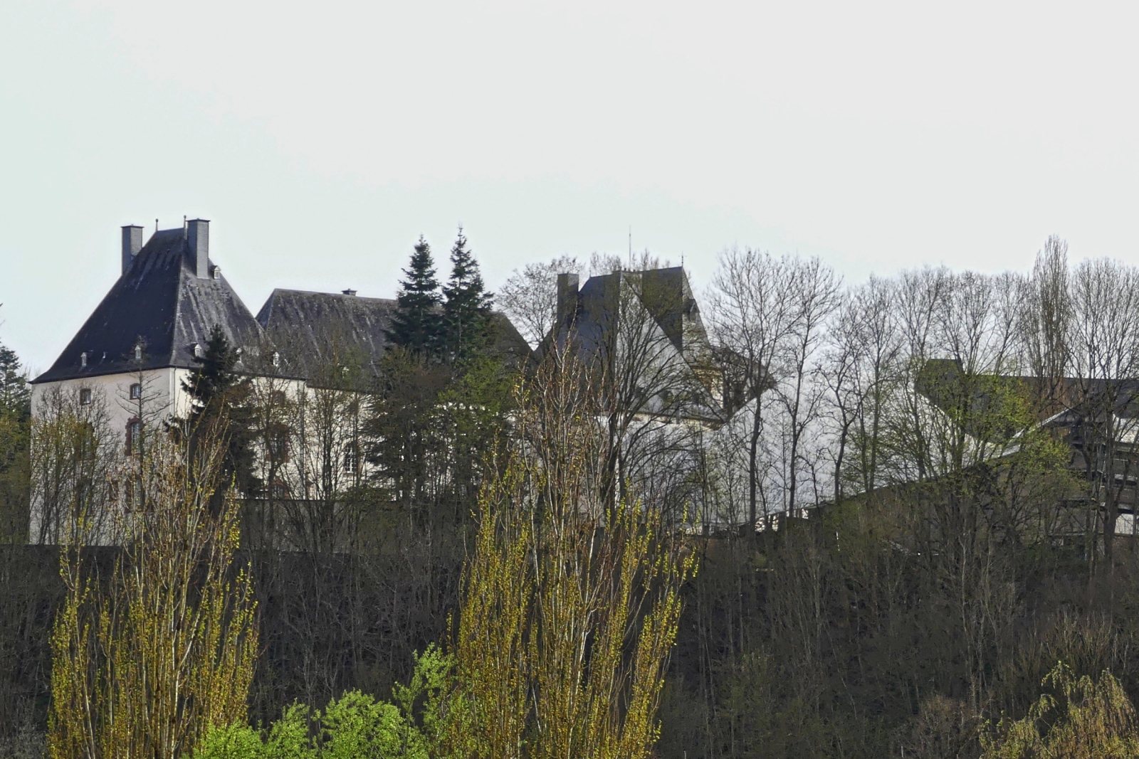 Blick von Weidingen durch die leicht Grnen ste der Bume auf das Schlo von Wiltz. 04.2024