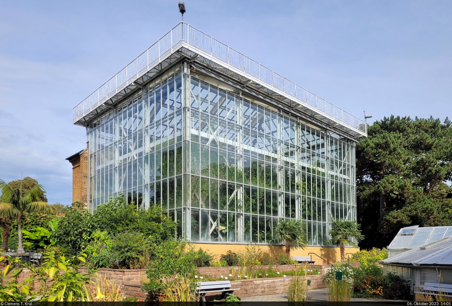 Groes Tropenhaus des Botanischen Gartens Halle (Saale).

🕓 6.10.2023 | 14:05 Uhr