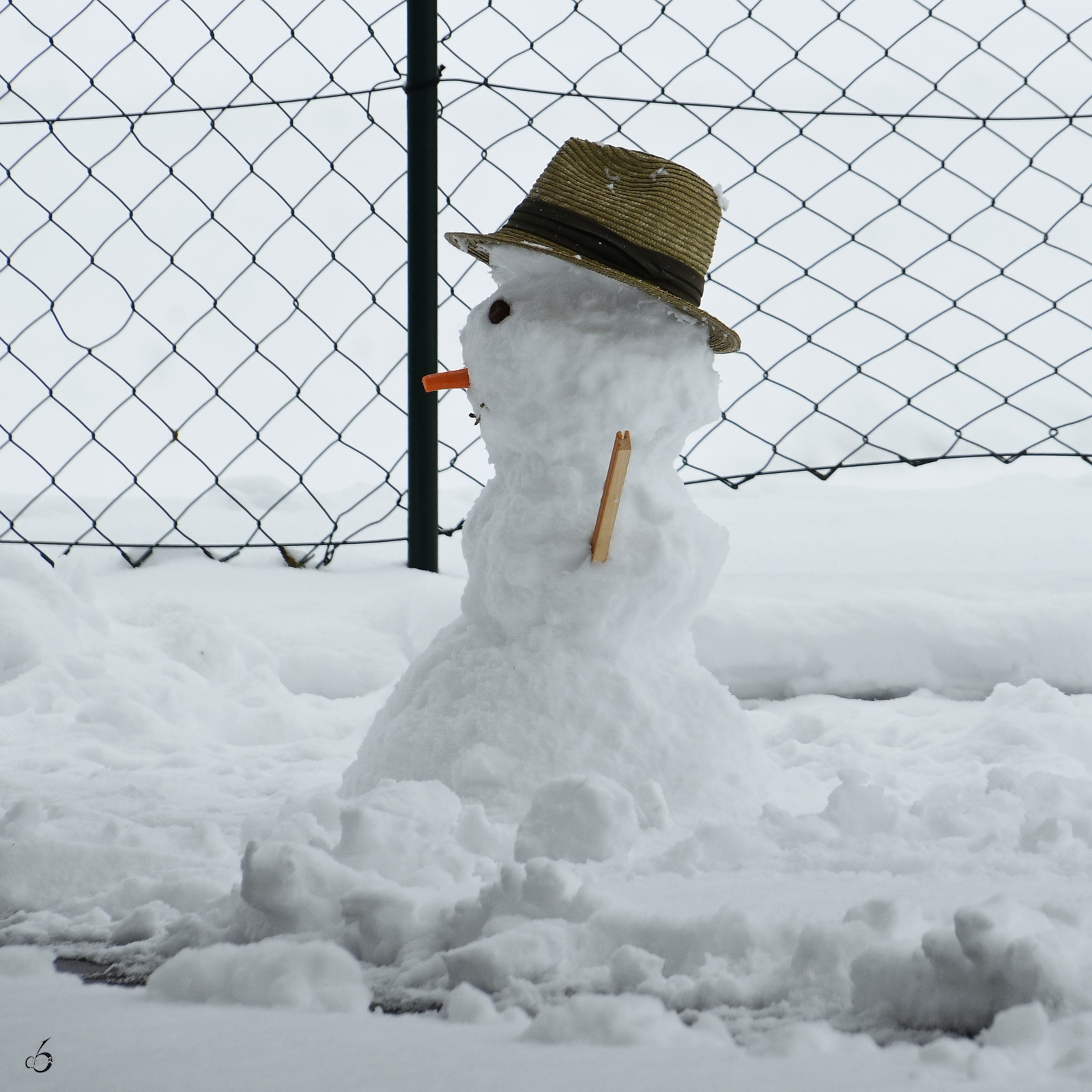 Sogar fr einen Schneemann hat es Ende November 2023 gereicht. (Pfronten-Steinach)