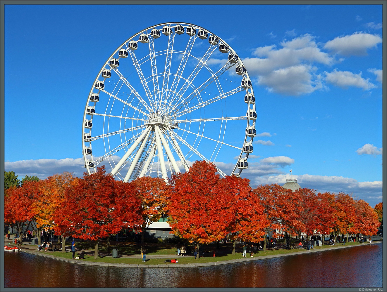 Umgeben von leuchtenden Ahornbumen steht das Riesenrad La Grande Roue de Montral im alten Hafen von Montreal. (10.10.2022)