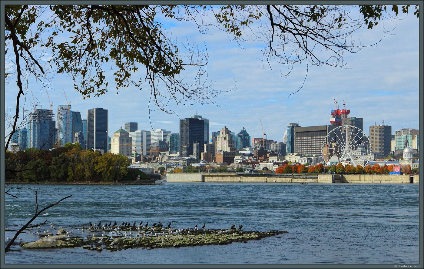 Von der le Sainte-Hlne blickt man ber den Sankt-Lorenz-Strom zur Downtown von Montreal. (10.10.2022)
