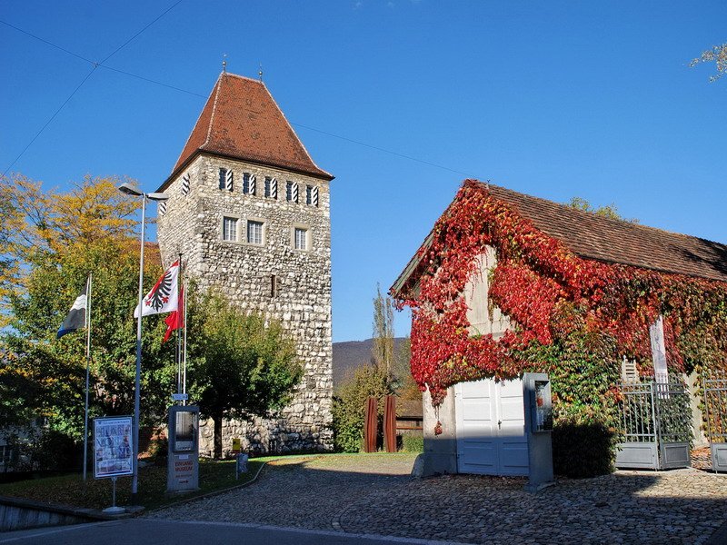 Aarau, Hauptstadt des Kantons Aargau, 16.000 Einwohner.
Schlssli - Das Rot der Weinbltter leuchtet mit dem Blau des Himmels um die Wette. Ein warmer Sonnentag, und das im November. 2.11.2006