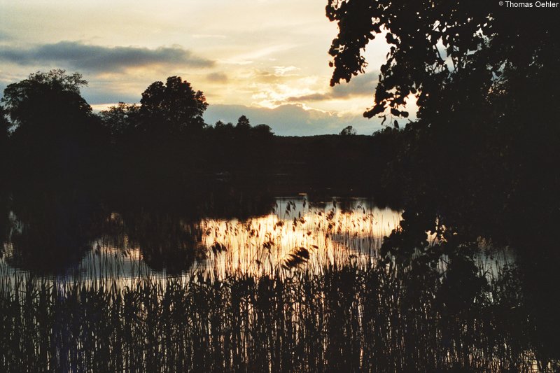 Abendstimmung am Feldberger Haussee. Aufnahme vom Mai 2006.