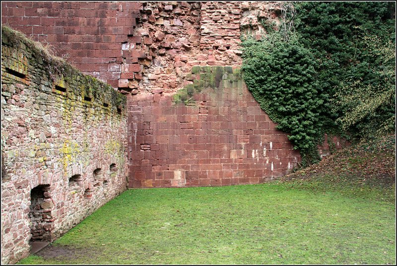 Alte Mauer und Grnes, Schloss Heidelberg, 28.02.2009 (Matthias)