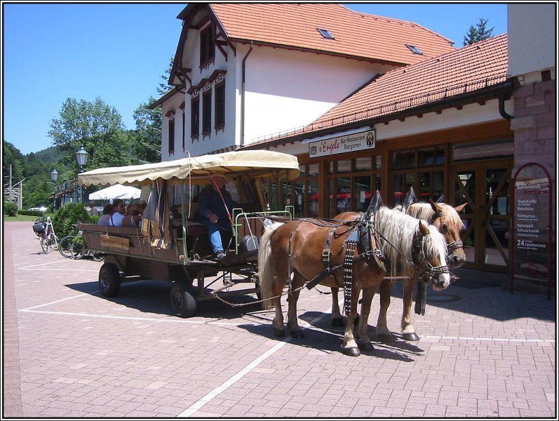 Am Bahnhof von Bad Herrenalb kommen viele Erholungssuchende aus Richtung Karlsruhe an. Von da aus kann es unter Umstnden auch mit diesem umweltfreundlichen Verkehrsmittel weitergehen. (02.07.2006)