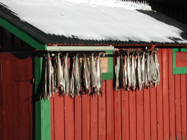 An einem Haus in Stamsund hngen Dorsche zum Trocknen.