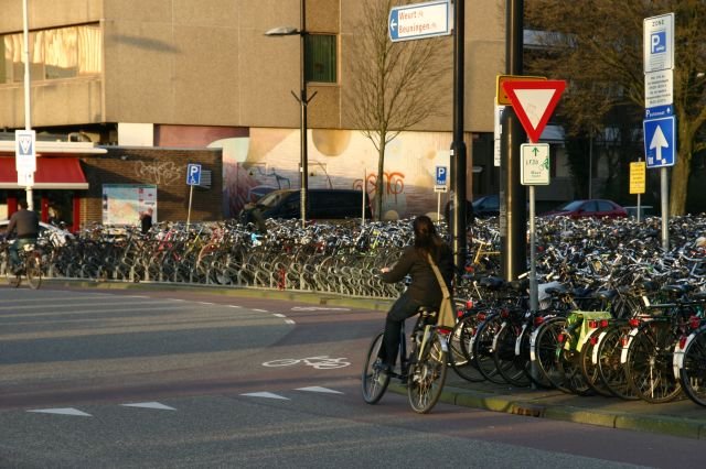 Angeblich wurde Katie Melua in Peking zum Song  Nine Million Bicycles  inspiriert. Ich glaube aber, dass es am Bahnhof von Nijmegen geschah...