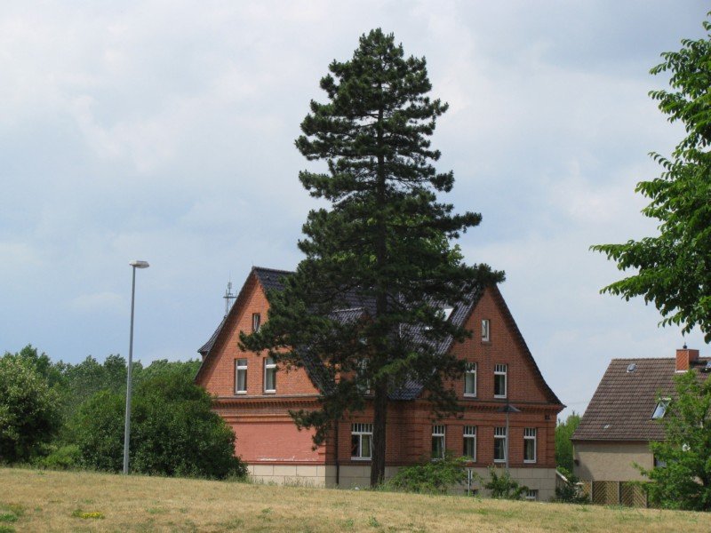 Appartment-Haus in der Lbecker Strae, Grevesmhlen 22.06.2008