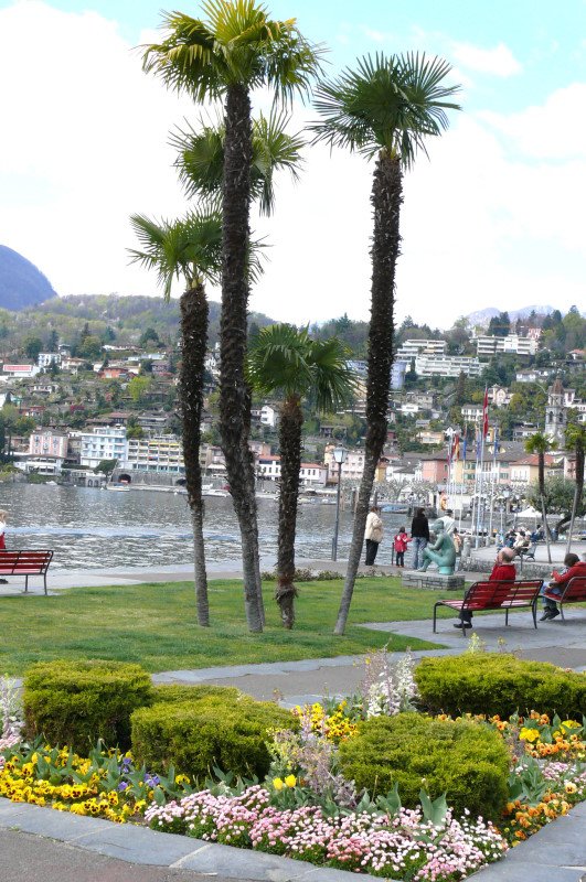 Ascona - Blick vom Kurpark zur Uferpromenade am 05.04.2008