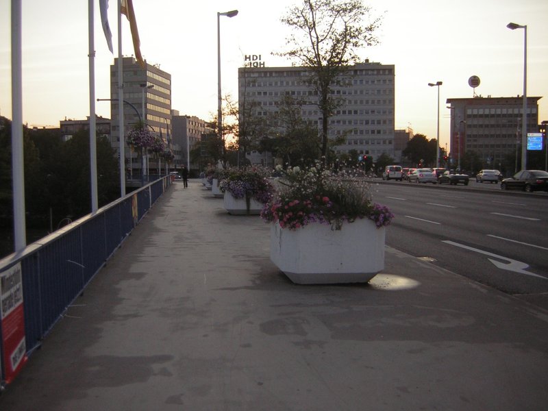 Auch auf diesem Foto ist die Wilhelm-Heinrich-Brcke zu sehen. Das Foto soll etwas nher die Pflanzliche Gestaltung ( Auf der Brcke )und von Saarbrcken zeigen.