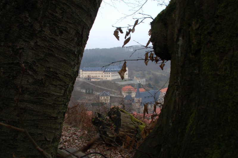 Aussicht auf das Schloss und die Kirche von Stolberg, gesehen ab dem Platz am Lutherbuche, der Platz wo Luther 1525 die Stadt Stolberg mit einem Vogel verglich. 20.02.2007.