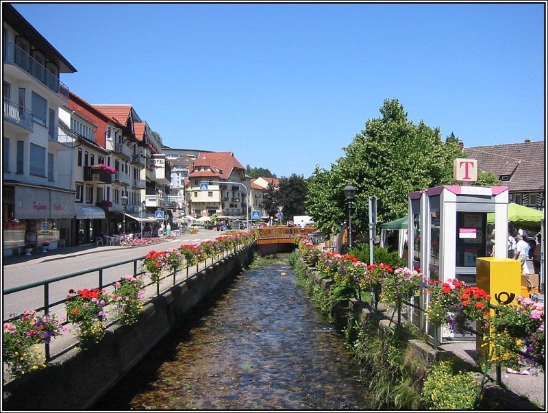 Bad Herrenalb wird von der Alb durchflossen, die einige Kilometer sdlich der Stadt entspringt und bei Eggenstein-Leopoldshafen in den Rhein mndet, nachdem sie unter anderem Ettlingen und Karlsruhe passiert hat. (02.07.2006)