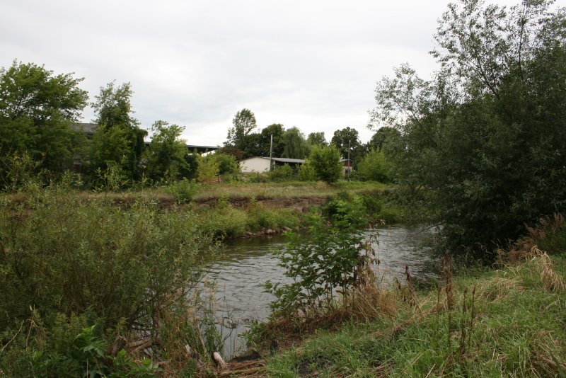 Blick auf das alte Hafenbecken von Guben