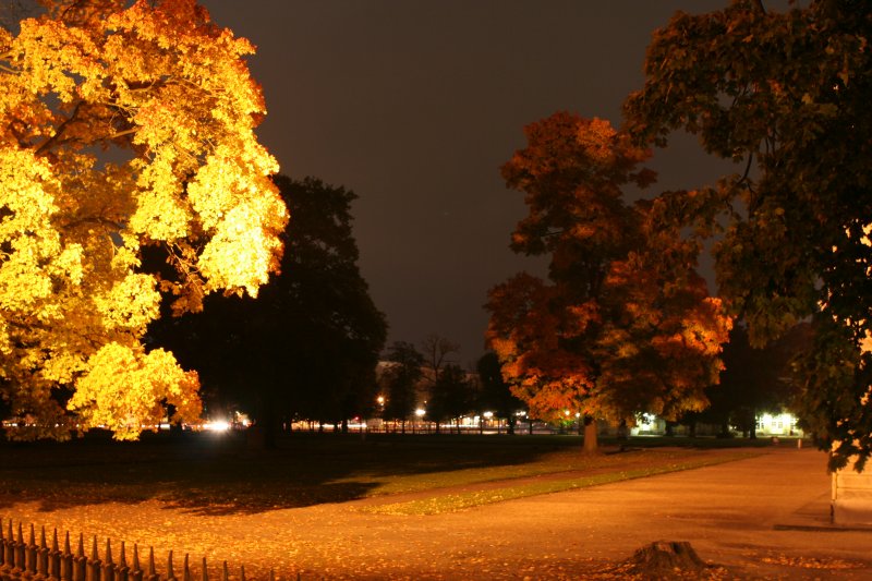 Blick auf einen Teil vom Garten vor dem Charlottenburger Schlo. 20.10.2009