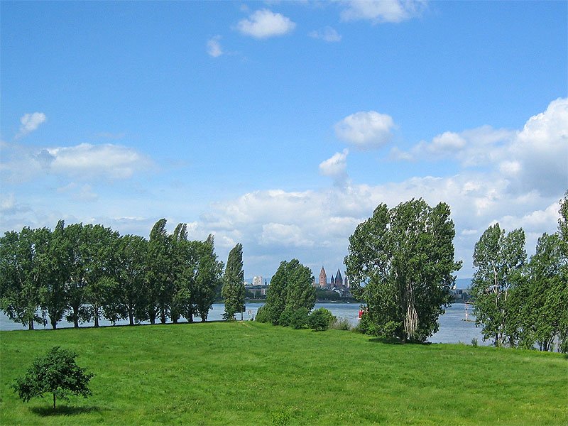 Blick auf Mainz vom Mainspitzdreieck. 24.5.2006