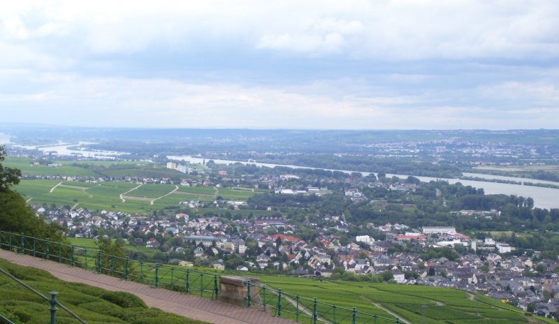 Blick auf Rdesheim am Rhein und ber den Rheingau. 24.07.2007