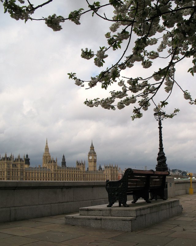 Blick auf das Westminster und den Big Ben.
(April 2008)