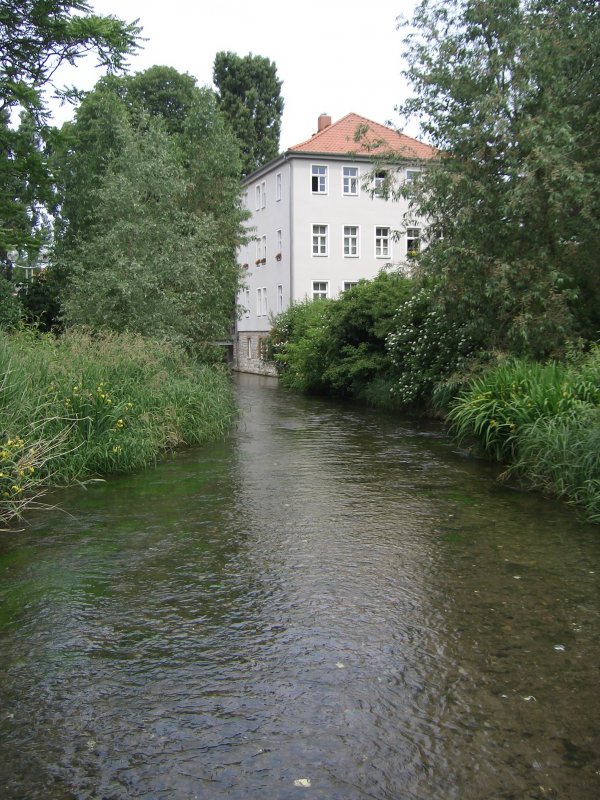 Blick vom Behelfsteg an der Krmerbrcke nordwrts, 2006