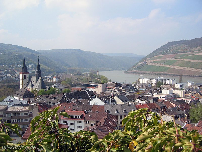 Blick von der Burg Klopp ber Bingen zum Museturm. April 2006