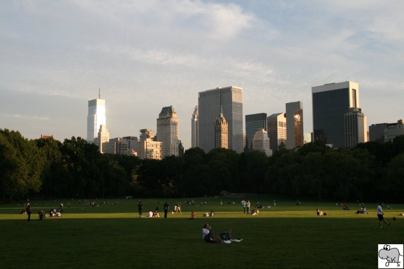 Blick vom Central Park auf die Wolkenkratzer von Manhatten am 17. September 2008.