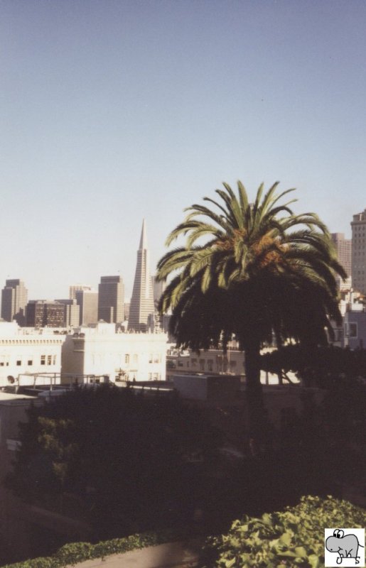 BLick von der Lombard Street auf Downtown San Francisco. Die Aufnahme entstand am 06. September 2002.