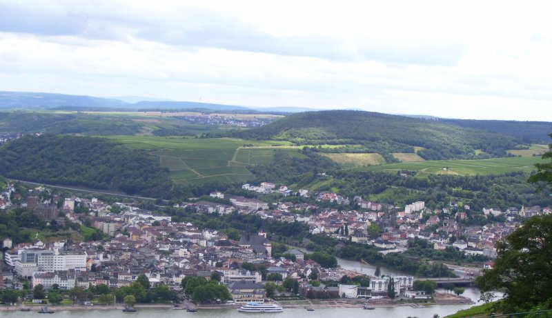 Blick vom Niederwalddenkmal auf Bingen. 24.07.2007