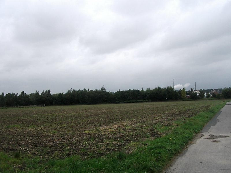 Blick in Richtung Norden,man sieht die zwei groen Schornsteine vom Kraftwerk Bergkamen,der linke Schornstein gehrt der Schering AG.Oktober 2006.