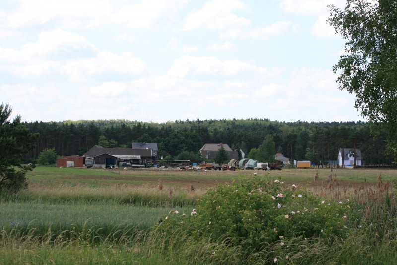 Blick in die Siedlung Kuckucksaue des Gubener Stadtteil Kaltenborn, vom Bahnbergang Kaltenborn