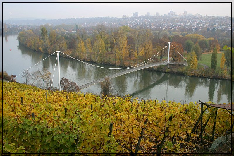 Blick ber das herbstliche Neckartal bei Stuttgart-Hofen. Im Hintergrund auf der Hhe die Hochhaussiedlung Neugereut. 02.11.2007 (Matthias)