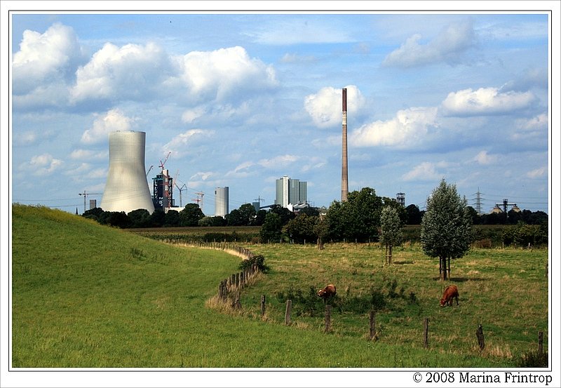 Blick ber die Weiden von Binsheim (Duisburg-Baerl) auf das HKW Walsum.